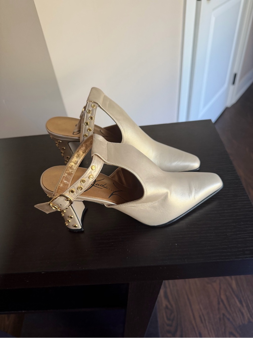 Judi Z Slingback Pointed Toe Heels with Studded Strap and heel